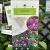 Clematis 'Etoile Violette' Climber 3Ltr Pot -Outdoor Garden Care Store 30198710