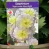 Delphinium 'Moonlight' 3Ltr Pot -Outdoor Garden Care Store 5021768046050