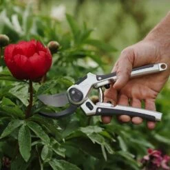 Eversharp All Purpose Secateurs 12 Eversharp All Purpose Secateurs -Outdoor Garden Care Store 5023377019623 5