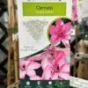 Clematis 'Hagley Hybrid' Climber 2Ltr Pot -Outdoor Garden Care Store 5025338000619 3c5076d3 c701 4377 881b 7a0362c52d0b