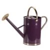 Smart Garden 9 Litre Violet Metal Watering Can -Outdoor Garden Care Store 5050642069991 bb1d1b4b 5c00 4767 bfda a5c5e02a4125