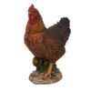 Vivid Arts 28cm Summer Hen - XRL-CHKN-D -Outdoor Garden Care Store 5055195014733