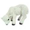 Vivid Arts 31cm Standing Lamb - XRL-LAMB-D -Outdoor Garden Care Store 5055195015518