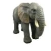 Vivid Arts 55cm Elephant Resin - XRL-ELPH-A 2 Vivid Arts 55cm Elephant Resin - XRL-ELPH-A -Outdoor Garden Care Store 5055195016249