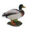 Vivid Arts 32cm Mallard Duck - XRL-MLLD-A -Outdoor Garden Care Store 5055195016713