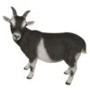 Vivid Arts 29cm Standing Goat- XRL-GOAT-D -Outdoor Garden Care Store 5055195017475