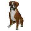 Vivid Arts 47cm Boxer Dog - XRL-BOXR-A -Outdoor Garden Care Store 5055195017628