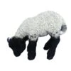 Vivid Arts 31cm Black / White Standing Lamb - XRL-BLLB-D -Outdoor Garden Care Store 5055195017697