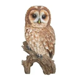 Vivid Arts 31.5cm Tawny Owl - XRL-TWNY-B
