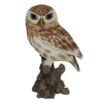 Vivid Arts 22cm Little Owl - XRL-LTWL-D -Outdoor Garden Care Store 5055195019981 6c6be2ff 1f1b 44e8 9a32 cdc02d0af566
