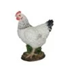 Vivid Arts 27cm Black & White Summer Hen - XRL-CH47-D -Outdoor Garden Care Store 5055195020482