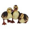 Vivid Arts 23cm Standing Duckling Group - NF-DK26-D 2 Vivid Arts 23cm Standing Duckling Group - NF-DK26-D -Outdoor Garden Care Store 5055195023674