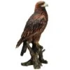 Vivid Arts 40cm Golden Eagle - XRL-GDEG-B -Outdoor Garden Care Store 5055195024879