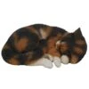 Vivid Arts 27cm Sleeping Tortoiseshell Cat - XRL-ZC32-B -Outdoor Garden Care Store 5055195025036