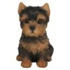 Vivid Arts 16cm Yorkshire Terrier Puppy Pet Pals - PP-Y 1 Vivid Arts 16cm Yorkshire Terrier Puppy Pet Pals - PP-Y -Outdoor Garden Care Store 5055195025302