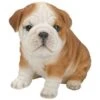 Vivid Arts 19cm Bulldog Puppy Pet Pals - PP-BDOG-F -Outdoor Garden Care Store 5055195025319