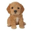 Vivid Arts 16cm Pet Pals Brown Cockapoo Puppy - PP-CKP5 2 Vivid Arts 16cm Pet Pals Brown Cockapoo Puppy - PP-CKP5 -Outdoor Garden Care Store 5055195025593