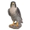 Vivid Arts 25cm Peregrine Falcon - XRL-PFAL-B