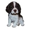 Vivid Arts 16cm Pet Pals Springer Spaniel - PP-SPSP-F 2 Vivid Arts 16cm Pet Pals Springer Spaniel - PP-SPSP-F -Outdoor Garden Care Store 5055195027306