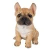 Vivid Arts 17cm Golden French Bulldog Puppy Pet Pals 1 Vivid Arts 17cm Golden French Bulldog Puppy Pet Pals -Outdoor Garden Care Store 5055195032317
