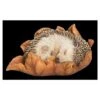 Vivid Arts Baby Hedgehog Sleeping On Leaf XRL-HH09-F -Outdoor Garden Care Store 5055195037596