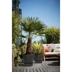 Elho 25cm Living Black Greenville Round Planter -Outdoor Garden Care Store 8711904332334 5