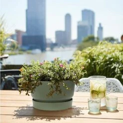 Elho 33cm Leaf Green Greenville Bowl Planter -Outdoor Garden Care Store 8711904332464 4