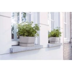 Elho 50cm Living Concrete Greenvillle Long Trough Planter 10 Elho 50cm Living Concrete Greenvillle Long Trough Planter -Outdoor Garden Care Store 8711904358440 4